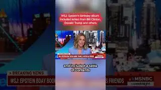 WSJ: Epstein's birthday album included letters from Bill Clinton, Donald Trump and others