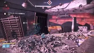 Destiny　Arena Lv35 (Arc Burn)  VS Skolas