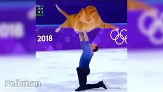 ЛУЧШИЕ ПРИКОЛЫ 2018 ИЮЛЬ -  Агент птичка