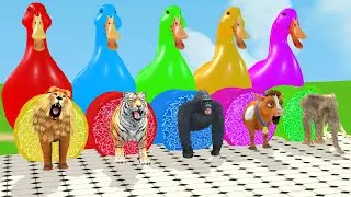 Long Slide Game With Cow Elephant Gorilla Hippopotamus Tiger 3d Animal Game Funny 3d Animals