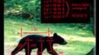 The Jacobs Creature:  Photo Analysis