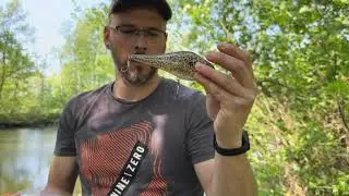 Mit Jerk- und Hardbaits auf Hecht im Fr&uuml;hjahr