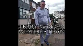 TERRY MONGAN WEXFORD TOWN TRAVELLER