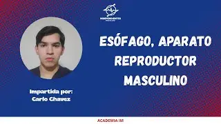 MACRO II (Es&oacute;fago & Aparato reproductor masculino) // CARLO CHAVEZ