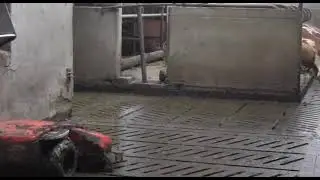 Schauer ENRO Spaltenroboter - NEUE Varianten (VERKAUFT)