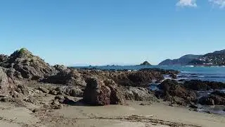 Princess Bay Beach, Wellington / プリンセス・ベイ、ウェリントン