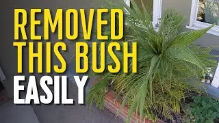 How to Remove a Bush From Your Yard With a Diablo Pruning Blade
