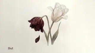 Three Days Rain - Damn Spring | English Lyrics