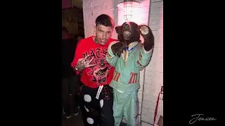 [FREE] RNB.FOEMOB x Lil 2z Type Beat 2025 -  