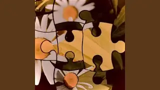 Life's Puzzle (Live Performance)