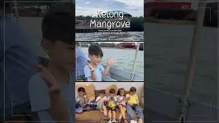 Hanzo at Kelong Mangrove