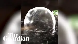 Polar vortex: soap bubble freezes and breaks in Arctic Chicago cold
