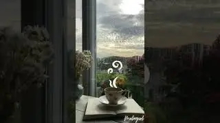 Cosy rain sounds💫 #cosysounds #shorts #rainsoundsforsleeping #rain #relaxingsounds #relaxingsounds
