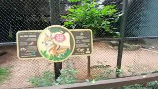 GUINDY NATIONAL PARK