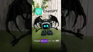 Top 5 Features of the Emo Robot