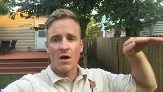 What to be careful of when trimming hedgerows