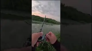 the fish fought so hard that the fishing line broke #fish #fishing #shortvideo #short #fyp