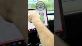 Как войти в Сервисный Режим Тесла. Service Mode Tesla.