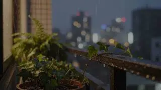 Rainstorm Sounds for Deep Sleep, Relaxation & Focus | Natural White Noise Ambience