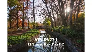 STUDY??!!:  II Timothy Part 2