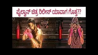 pailwan release date fix
