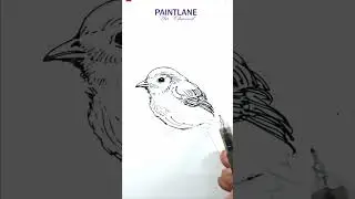 Drawing Easy Bird line art #shorts #art #drawing