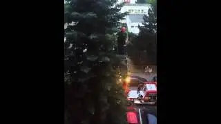 Kuriozna zachranna akcia - Nitra Klokocina - Hasici zachranuju papagaja