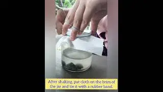 Science 5-Rock Weathering