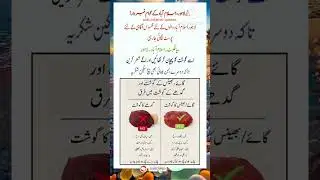 Urdu Quotes| Islamic Quotes| Motivational Quotes| #quotes #shorts #amzingquotes #urdu #vira #short