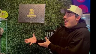 DOOMSDAY LIMITED 1/500 UNBOXING/REVIEW