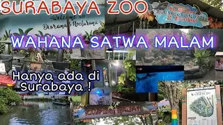 Aquanoctudio (kbs) Wahana satwa malam, Hanya Ada Di surabaya  || Surabaya ZOO