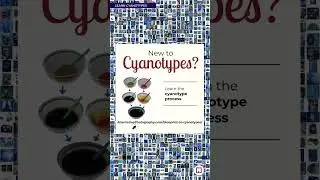 New to #Cyanotypes? Learn all you need to know! Link in comment!
