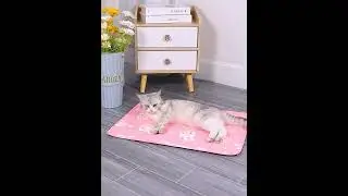Anti-slip Bottom Anti-catch Cooling Mat Durable Summer Cooling Pet Nest Bed #cat