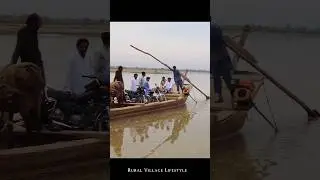 Donkey on Boat | Village Lifestyle Boat Surfing #rurallife #1mviews