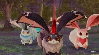 Atelier Firis DX - No Commentary Part 47 - Partner