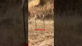 7mm PRC vs. 7mm REM MAG at 600 yards!