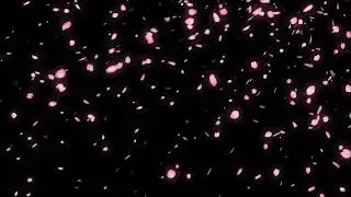Falling flowers Video overlay | Editors Studio.