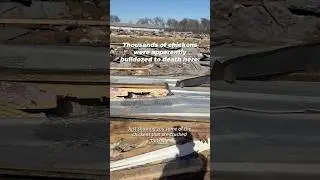 Это видео возмутительно и душераздирающе💔