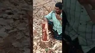 Red Sandal Wood Dressing process