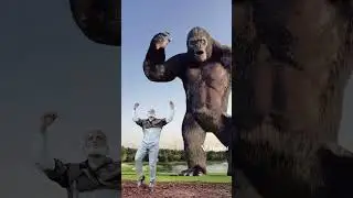 ai একি শুরু করলো