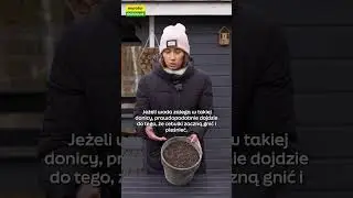 CO ZROBIĆ Z ZALANĄ DONICĄ?!