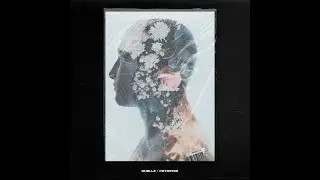 Shellz - Petrified (Official Visualizer)