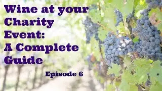 Wine at your Charity Event - A Complete Guide to raising money at Charity Auctions - Part 6