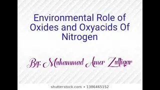 Environmental Role of Oxides and Oxyacids of Nitrogen by Muhammad Amer Zulfiqar