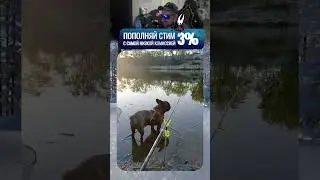 Собака-рыбак🎣🐶| twitch.tv/neonpsh - розыгрыши и турниры каждый месяц!