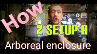 Arboreal tarantula enclosure setup #tarantulaenclosure