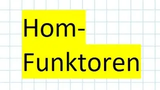 Kategorientheorie: Hom-Funktoren (Definition und Beispiel Dualraum-Funktor)