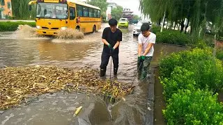 Unleash the Power Clear Drains Prevent Floods
