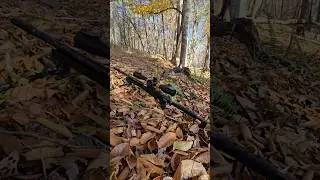 22lr long Rifle 10 22 #review #outdoors #views