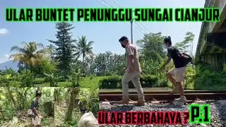 ULAR BUNTET PENGHUNI SUNGAI CIANJUR \PART 1